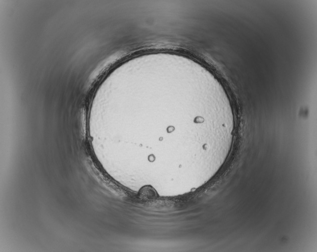 X0000113931171200910231915