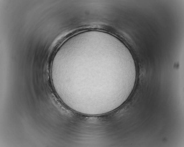X0000113931172200910231915