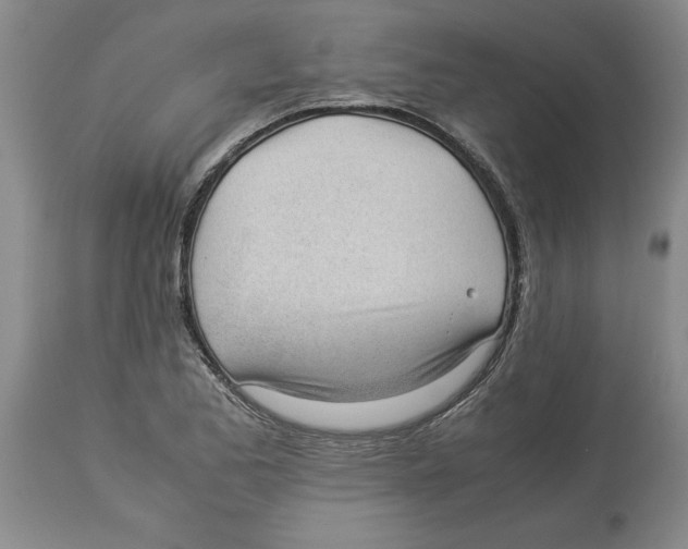 X0000113931173200910231915