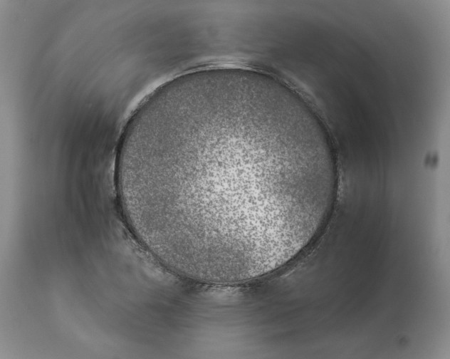 X0000113931174200910231915