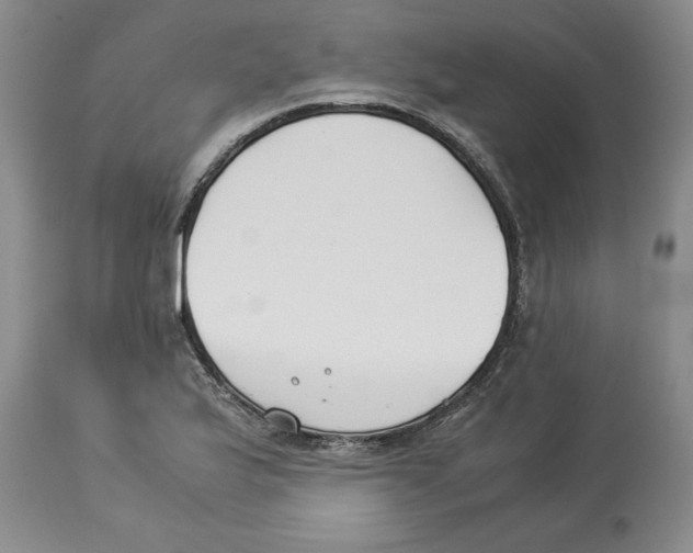 X0000113931175200910231915