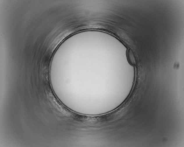 X0000113931177200910231915