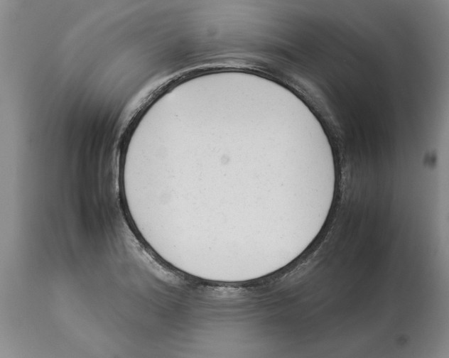 X0000113931180200910231915