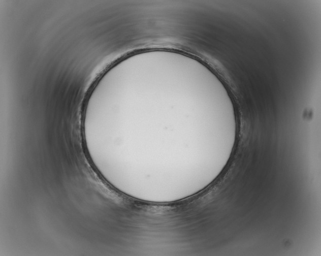 X0000113931184200910231915