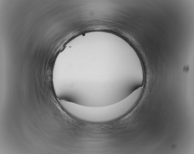 X0000113931185200910231915