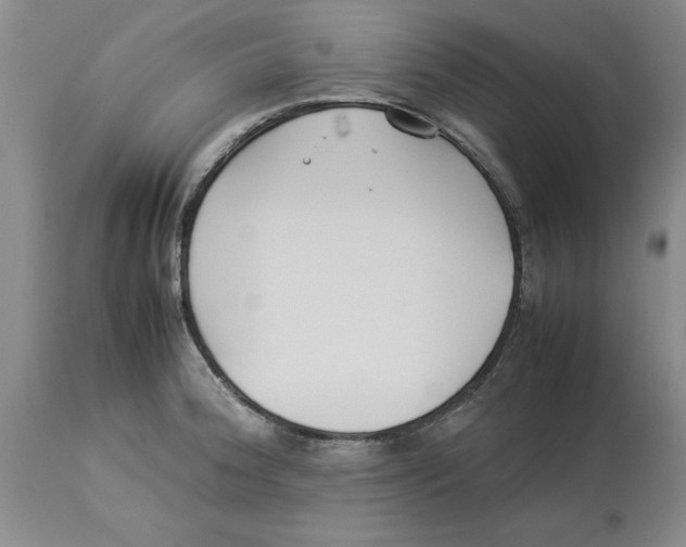 X0000113931188200910231914