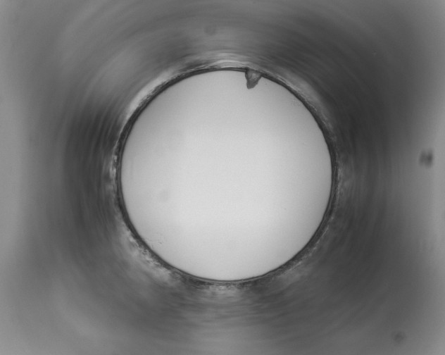 X0000113931190200910231914