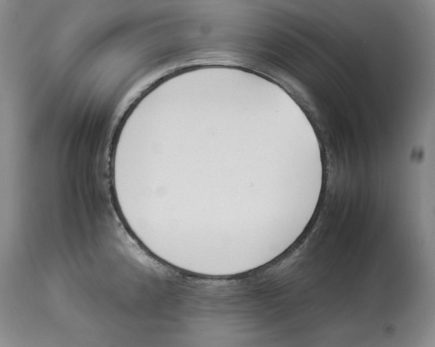 X0000113931192200910231914
