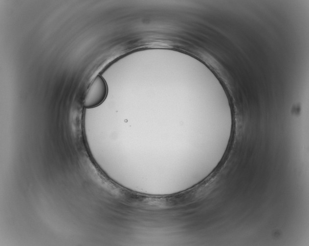 X0000113931194200910231914