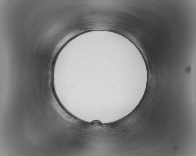X0000113931195200910231914