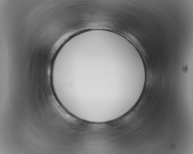 X0000113931196200910231914