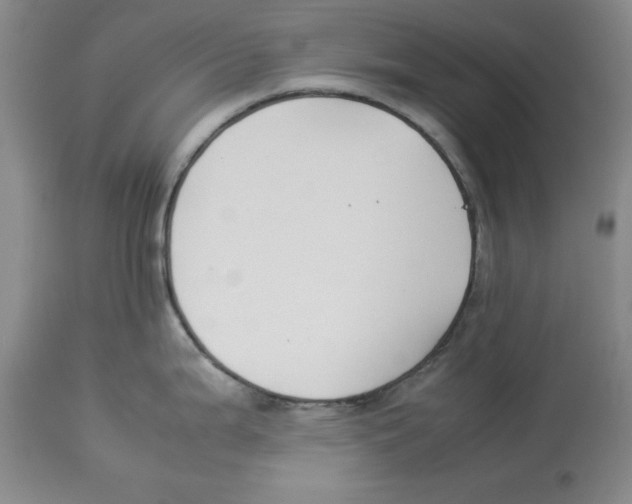 X0000113931199200910231914
