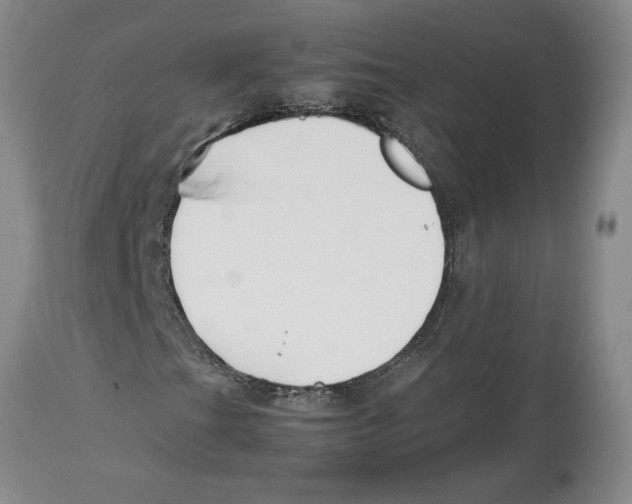 X0000113931201200910231914