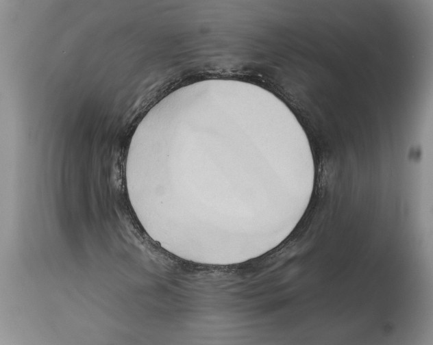 X0000113931202200910231914