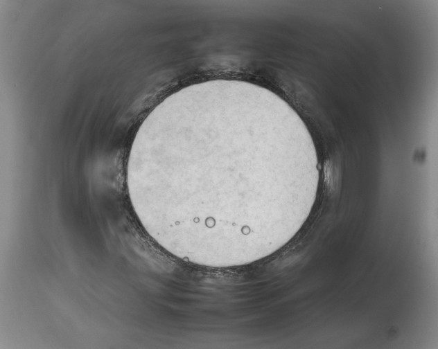 X0000113931203200910231914