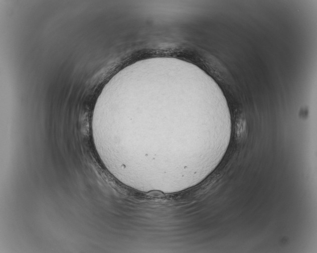 X0000113931204200910231914