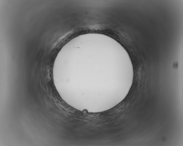 X0000113931205200910231914