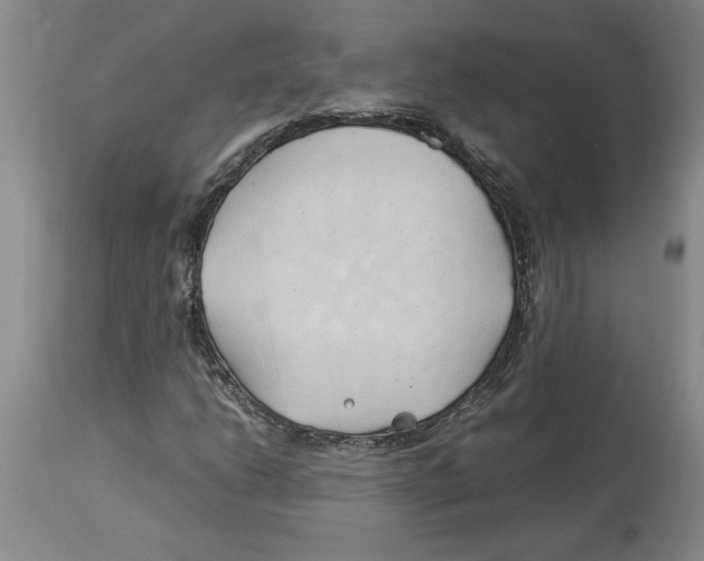 X0000113931206200910231914