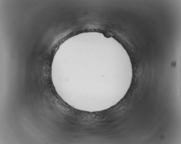 X0000113931207200910231914