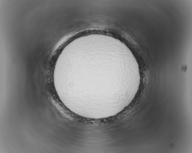 X0000113931208200910231914