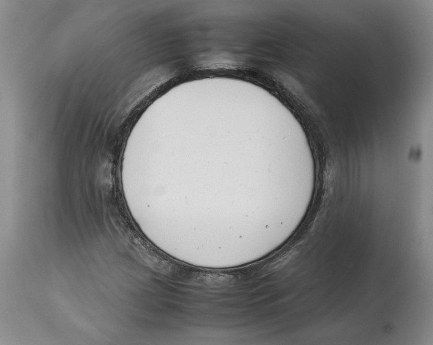 X0000113931209200910231914