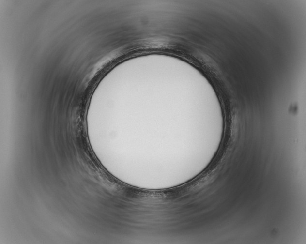 X0000113931210200910231914