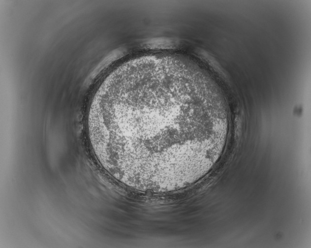 X0000113931213200910231914