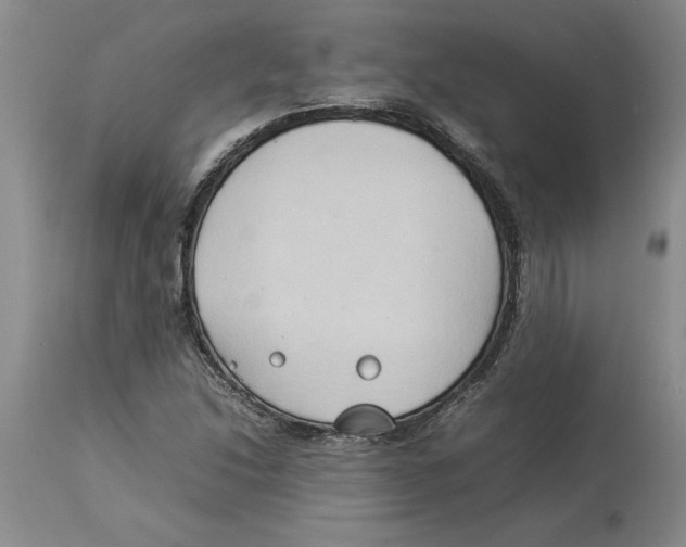 X0000113931214200910231914
