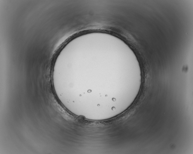 X0000113931216200910231914