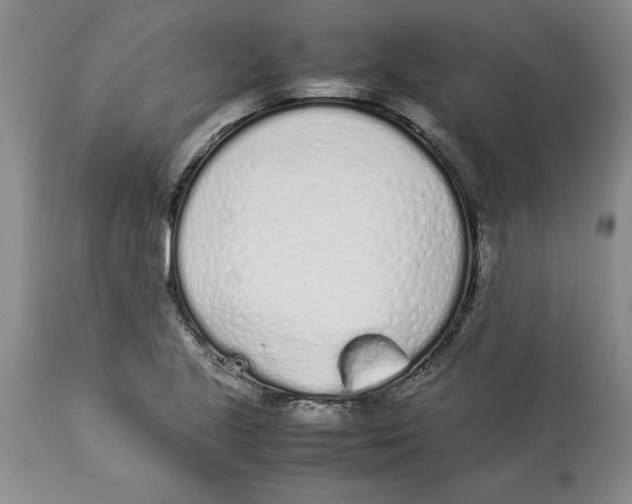 X0000113931221200910231914