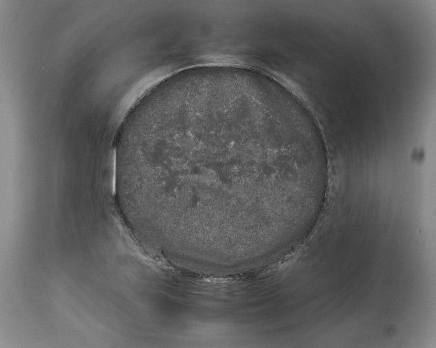 X0000113931223200910231914