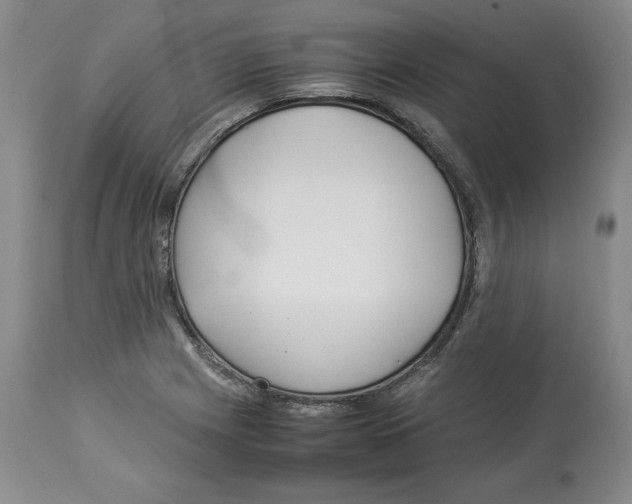 X0000113931225200910231914