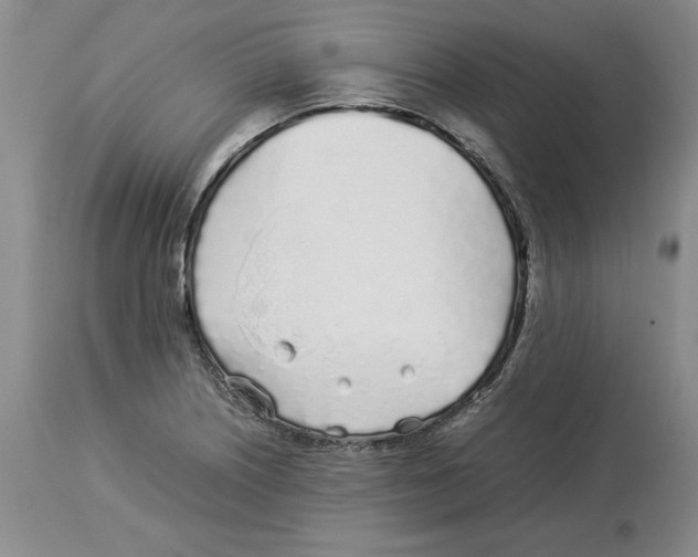 X0000113931226200910231914
