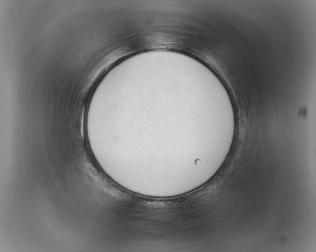 X0000113931227200910231914
