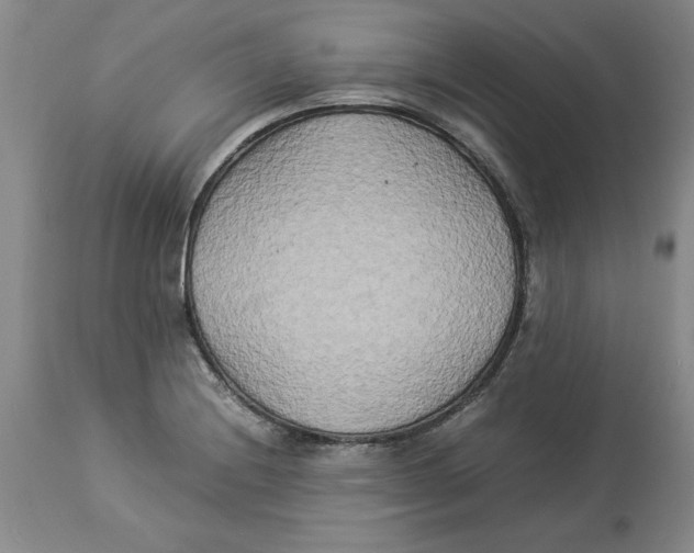 X0000113931228200910231914