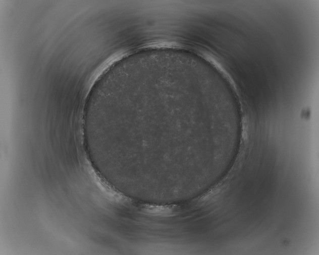 X0000113931229200910231914
