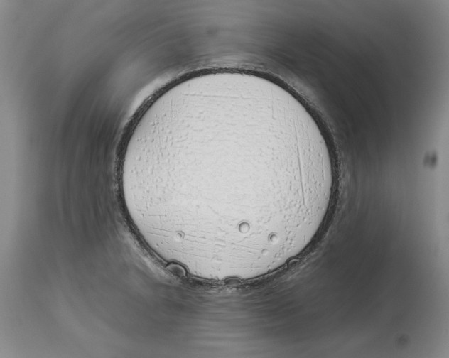 X0000113931230200910231914