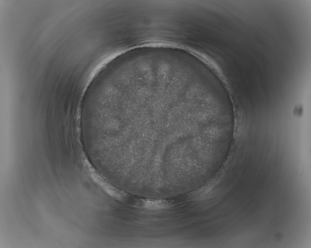X0000113931231200910231914