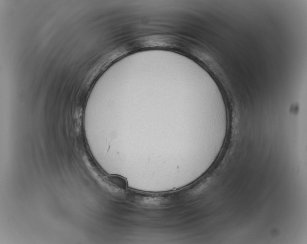 X0000113931233200910231914