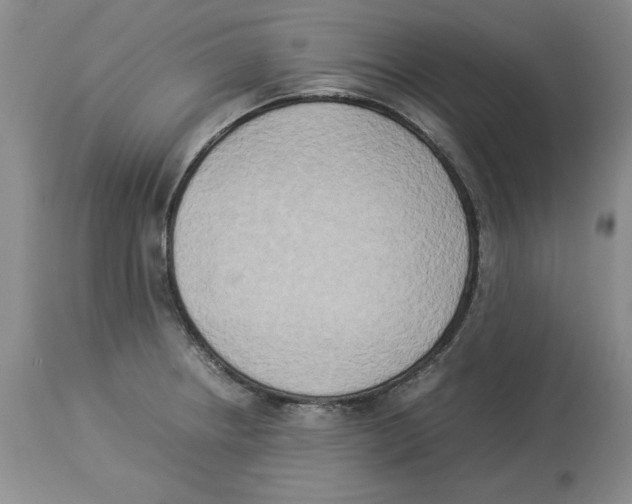 X0000113931234200910231914