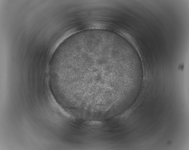 X0000113931235200910231914