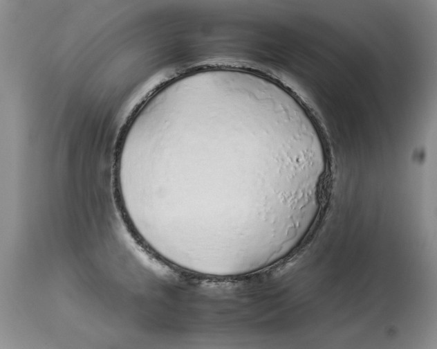 X0000113931237200910231914