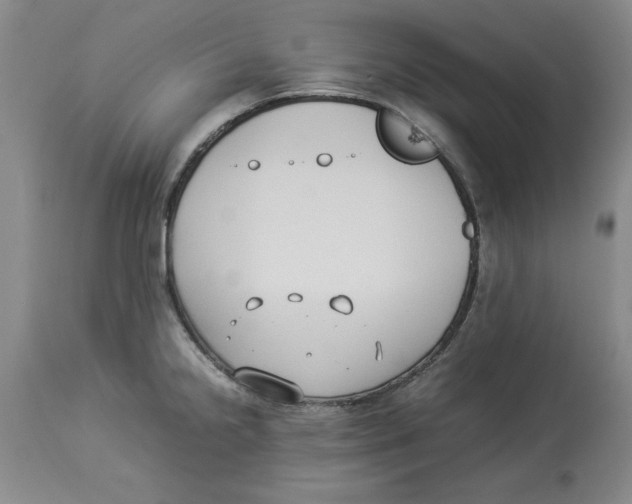 X0000113931238200910231914