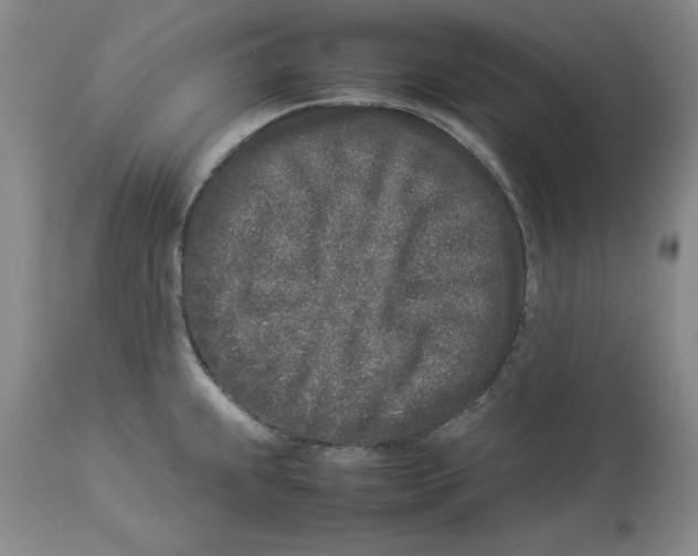 X0000113931239200910231914