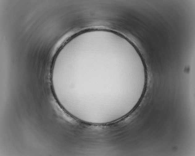 X0000113931240200910231914