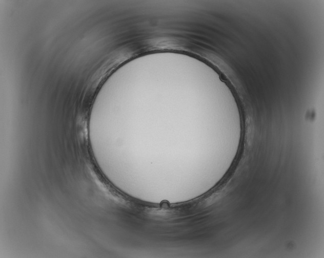 X0000113931241200910231914