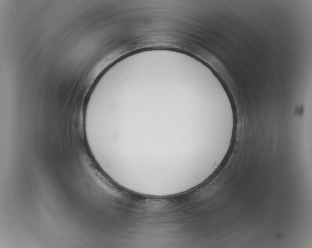 X0000113931242200910231914