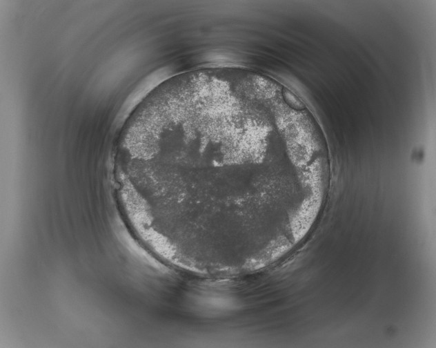 X0000113931243200910231914