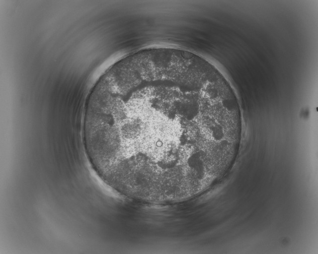 X0000113931245200910231914