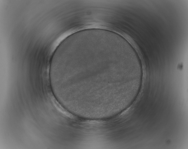 X0000113931246200910231914